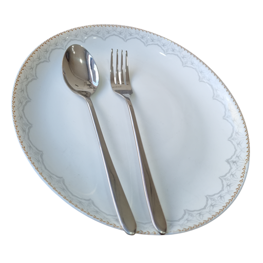 سرویس قاشق و چنگال سولینگن آلمان 120 پارچه مدل دونا نقره ای 2 سرویس قاشق و چنگال سولینگن آلمان 120 پارچه مدل دونا نقره ای